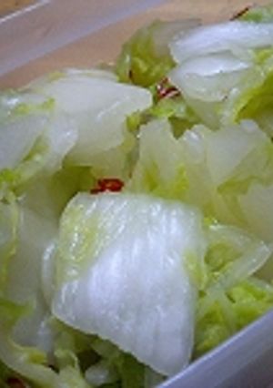 白菜の浅漬け-レシピのメイン写真