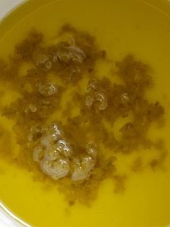 ゆずこしょうオイル-レシピのメイン写真