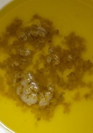 ゆずこしょうオイル-レシピのメイン写真
