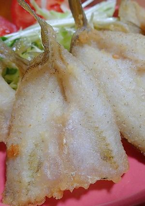 キスの天ぷら-レシピのメイン写真