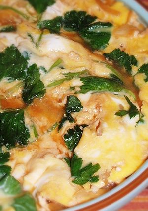 豆腐とねぎの卵とじ（蕎麦屋の丼物風）-レシピのメイン写真