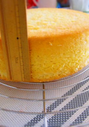 スポンジケーキ 簡単、ふわふわ-レシピのメイン写真