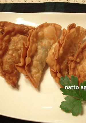 納豆揚げ餃子-レシピのメイン写真