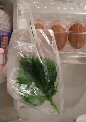 青じその保存☆ビニール袋だけ！-レシピのメイン写真