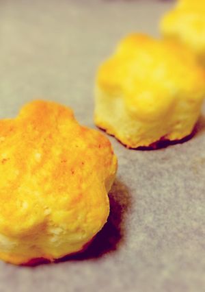 オリーブオイルのスコーン-レシピのメイン写真