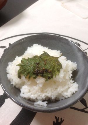 青じその七味醤油漬け-レシピのメイン写真