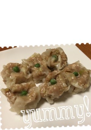 ★栄養満点★ 野菜たっぷり焼売-レシピのメイン写真