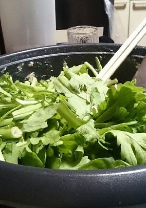 豆乳鍋-レシピのメイン写真