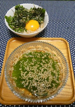 大葉の白だし漬け🍃＆絶品大葉ご飯🍚-レシピのメイン写真