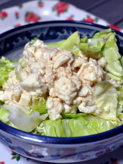 豆腐+やみつき塩ダレ×ざく切りキャベツ-レシピのメイン写真