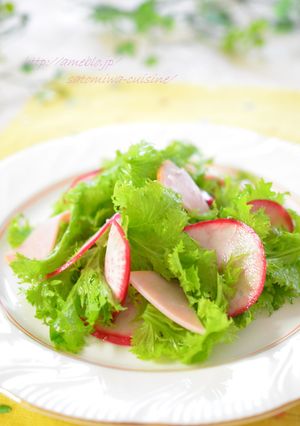 赤かぶとわさび菜の塩レモンサラダ☆-レシピのメイン写真