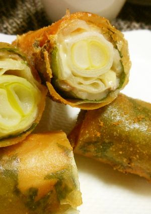 長ネギの春巻き-レシピのメイン写真