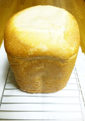 ミルク100％のココナッツパン♪-レシピのメイン写真