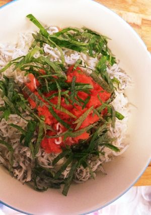 明太子乗せしらす丼-レシピのメイン写真