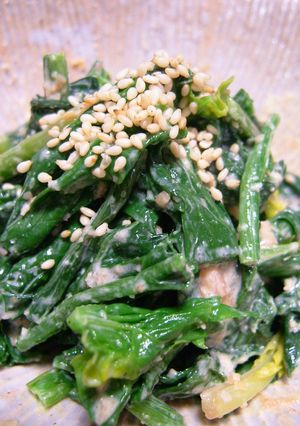 ほうれん草の変わり胡麻和え（梅マヨ味）-レシピのメイン写真