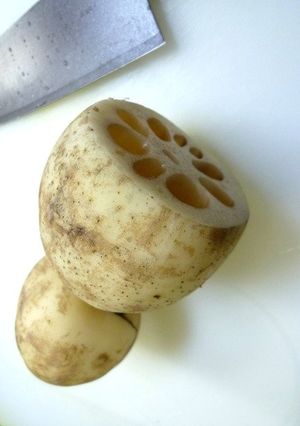 初めてでも簡単！レンコンの下処理！-レシピのメイン写真