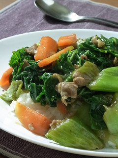 たけのこ白菜の中華丼-レシピのメイン写真
