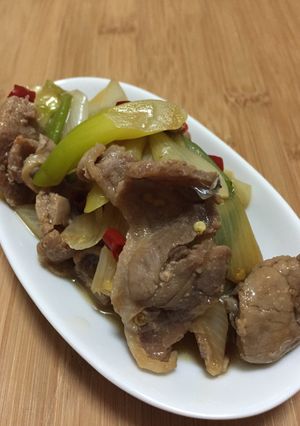 鴨肉とネギの煮物-レシピのメイン写真