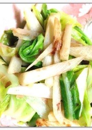春キャベツと長芋ココナッツ炒め-レシピのメイン写真