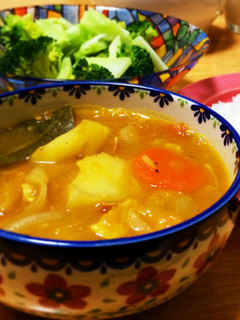 野菜の旨みたっぷり!簡単スープカレー-レシピのメイン写真