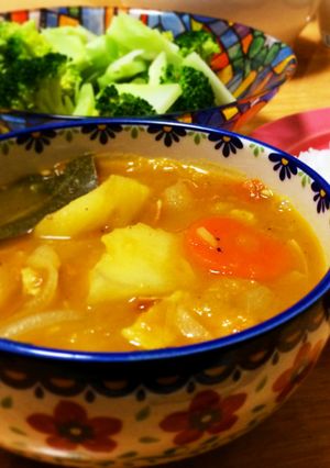 野菜の旨みたっぷり！簡単スープカレー-レシピのメイン写真