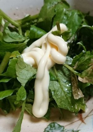 クレソンの超かんたんサラダと冬の水栽培-レシピのメイン写真