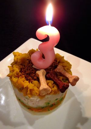 ＊わんこ用バースデーケーキ＊-レシピのメイン写真
