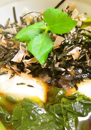 ＊小松菜のお醤油雑煮＊鰹節と海苔をかけて-レシピのメイン写真