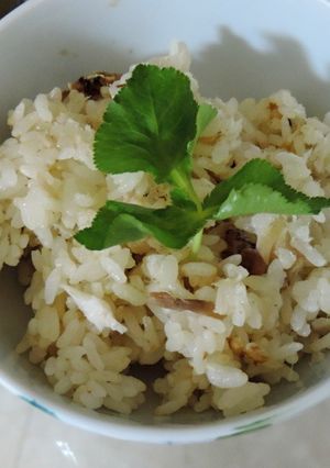 贅沢鯛飯☆１匹まんま-レシピのメイン写真