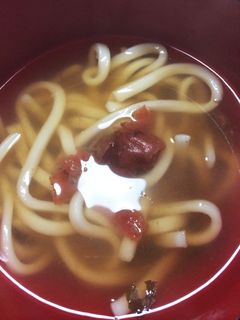 胃もたれ 二日酔いにさっぱり梅うどん♡-レシピのメイン写真
