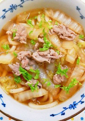 めんつゆで簡単♪肉うどん　白菜入り。。-レシピのメイン写真