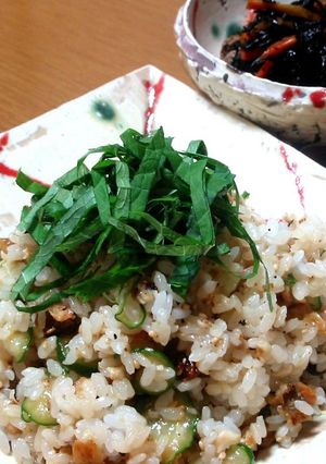 うなぎの混ぜご飯-レシピのメイン写真