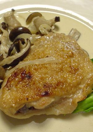 鶏肉のきのこソース煮込み-レシピのメイン写真