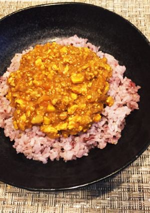 とっても簡単！野菜ジュースでキーマカレー-レシピのメイン写真