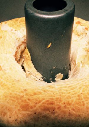 ポンでケージョケーキ-レシピのメイン写真