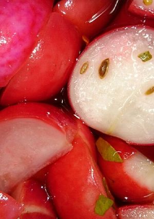 ラディッシュのピクルス-レシピのメイン写真