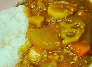 正月明けに◎根菜たっぷり和風カレー-レシピのメイン写真