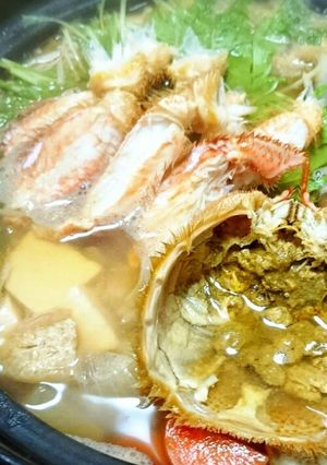 絶品！毛蟹でカニすき鍋を楽しむ♪-レシピのメイン写真