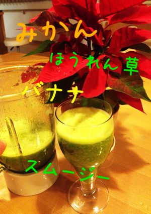 ビタミンたっぷり☆スムージー☆-レシピのメイン写真