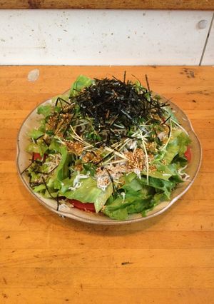 じゃこ大根サラダ-レシピのメイン写真
