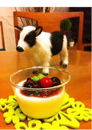 パンナコッタ☆ブルーベリーソースがけ-レシピのメイン写真