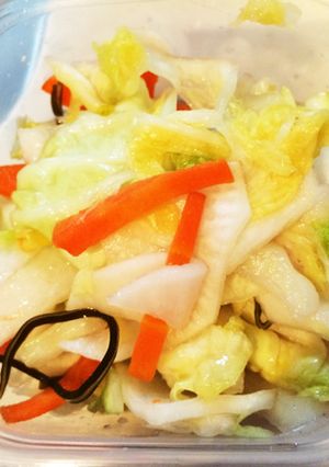 残り野菜でお漬物-レシピのメイン写真