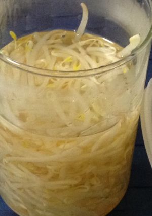 もやし酢の作り方-レシピのメイン写真