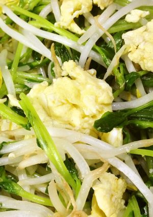 豆苗と卵の塩炒め❀-レシピのメイン写真