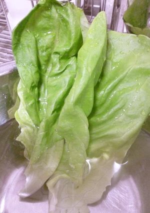 レタスの生還方法-レシピのメイン写真