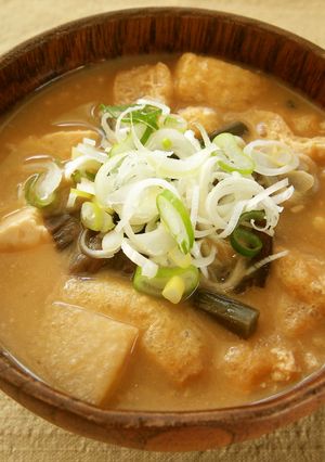 秋田県南の郷土料理☆納豆汁-レシピのメイン写真