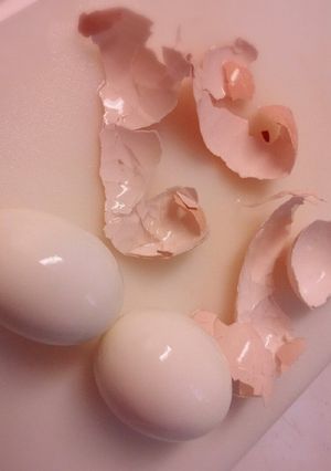 ゆでたまごの上手なむきかた-レシピのメイン写真