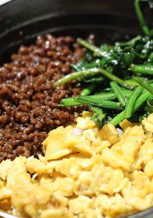 ３色そぼろ丼-レシピのメイン写真