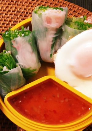 ベトナム料理 生春巻き弁当-レシピのメイン写真