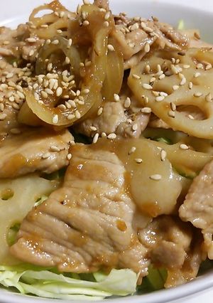 豚丼+しょうが、野菜などなど。-レシピのメイン写真